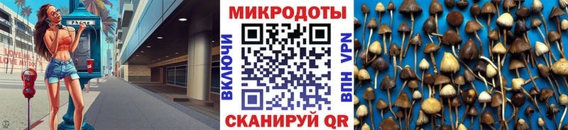 закладка  Октябрьский  Галлюциногенные грибы ЛСД 