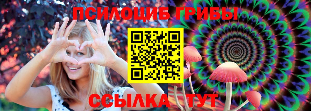 Галлюциногенные грибы прущие грибы Октябрьский